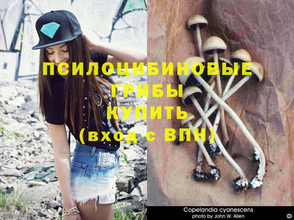 марки nbome Арсеньев