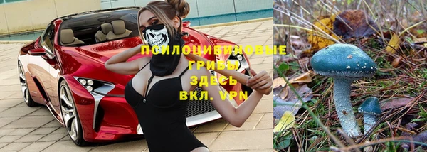 стафф Армянск