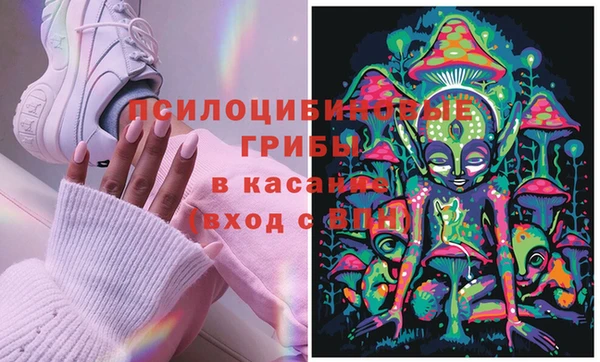стафф Армянск