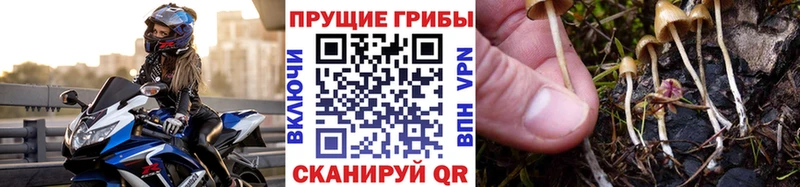 Галлюциногенные грибы мицелий  Пудож 