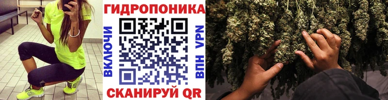 KRAKEN как зайти Пудож Конопля тримм